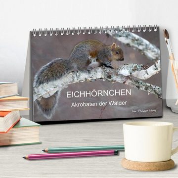 CALVENDO Wandkalender EICHHÖRNCHEN (Tischkalender 2025 DIN A5 quer), CALVENDO Monatskalender