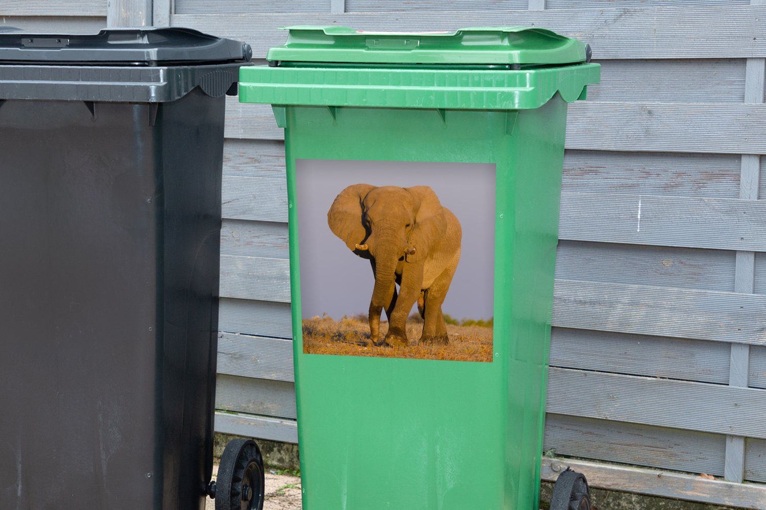 Sand Elefant Mülltonne, im Abfalbehälter (1 Mülleimer-aufkleber, Sticker, Container, Wandsticker St), MuchoWow Afrikanischer