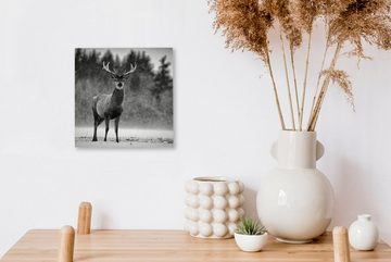 OneMillionCanvasses® Leinwandbild Tiere - Hirsche - Winter - Schwarz - Weiß, (1 St), Leinwand Bilder für Wohnzimmer Schlafzimmer