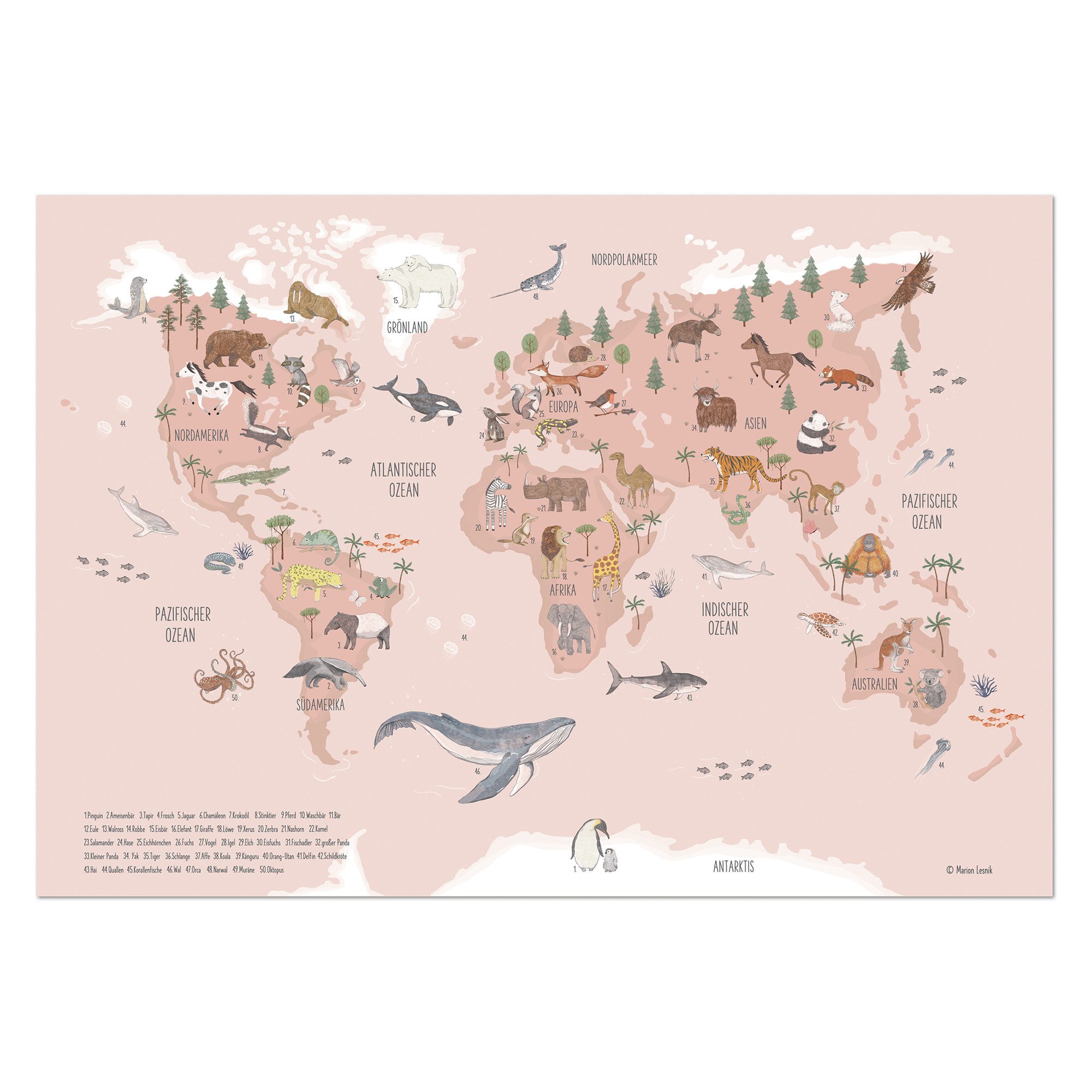 scriptum Poster Weltkarte Kinder Poster Tiere Deutsch Rosa 80x56 cm Lernposter, (1 St), Made in Germany