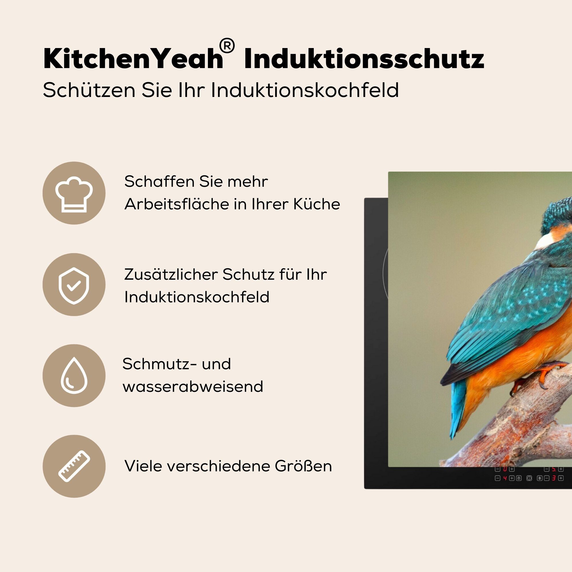 Arbeitsplatte Vogel - küche (1 tlg), MuchoWow cm, Vinyl, - für Herdblende-/Abdeckplatte 81x52 Eisvogel Zweig, Ceranfeldabdeckung,