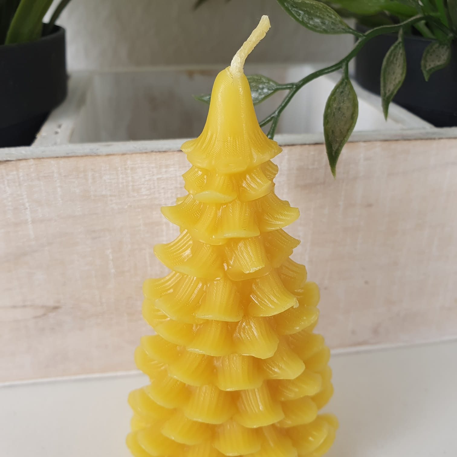 Aspinaworld Formkerze Tannenbaum Kerze 9,5 cm – Kerze aus Bienenwachs