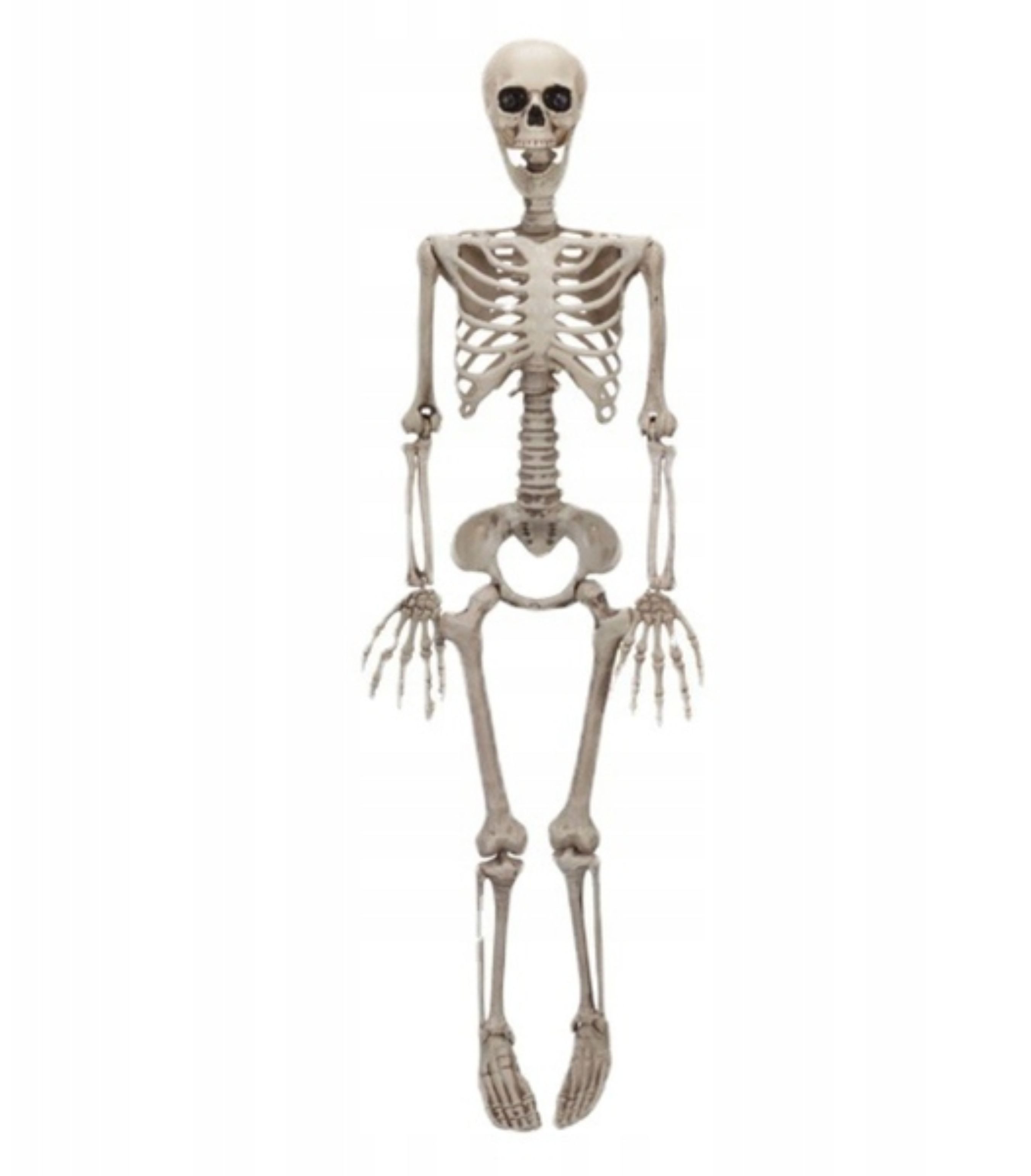 Festivalartikel Fensterdekoration Halloween Deko Skelett 90cm, Hängend, beweglich, gruselig
