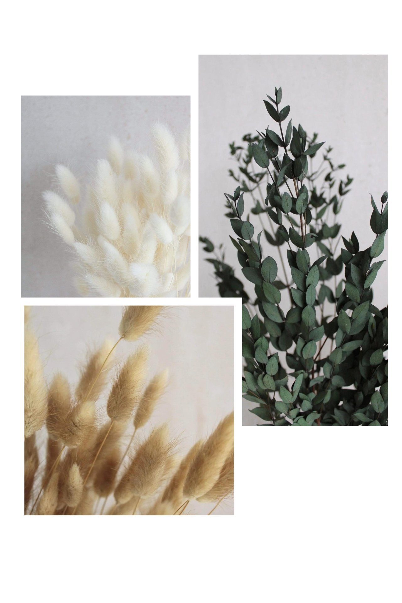 Trockenblume Trockenblumen-Set mit Eukalyptus Parvi, Lagurus in Weiß und Natur Trockenblumen, Vasenglück