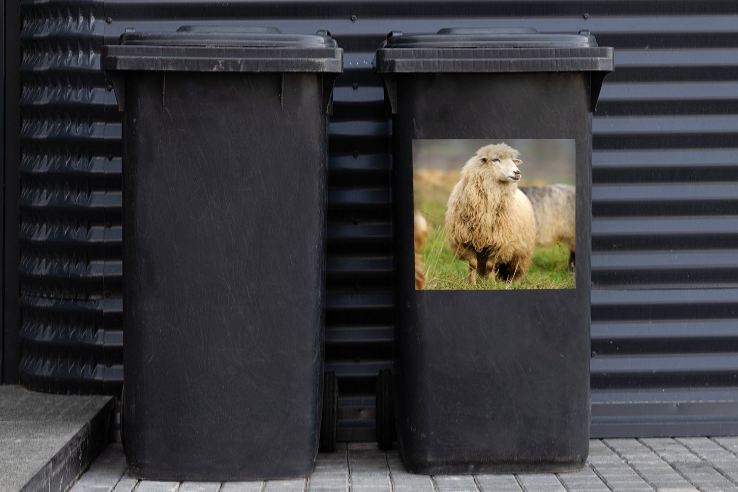 St), Mülltonne, Schafe Abfalbehälter Mülleimer-aufkleber, - Container, Wandsticker (1 MuchoWow Gras Wolle - Sticker,
