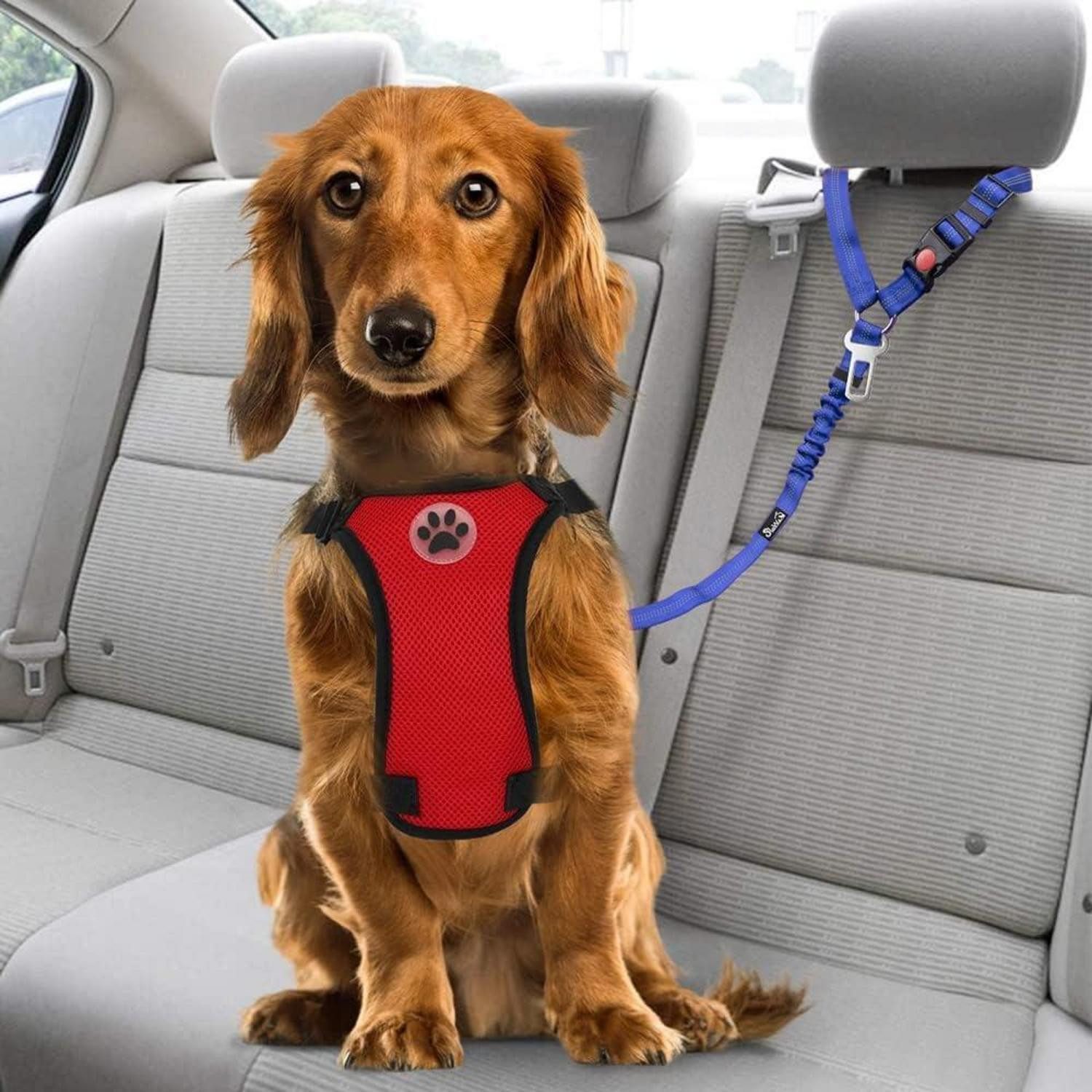 SlowTon Autohundegeschirr Hundegurt Auto 2-in-1 Kopfstützen-Rückhalte Anschnallgurt Hellblau 2er