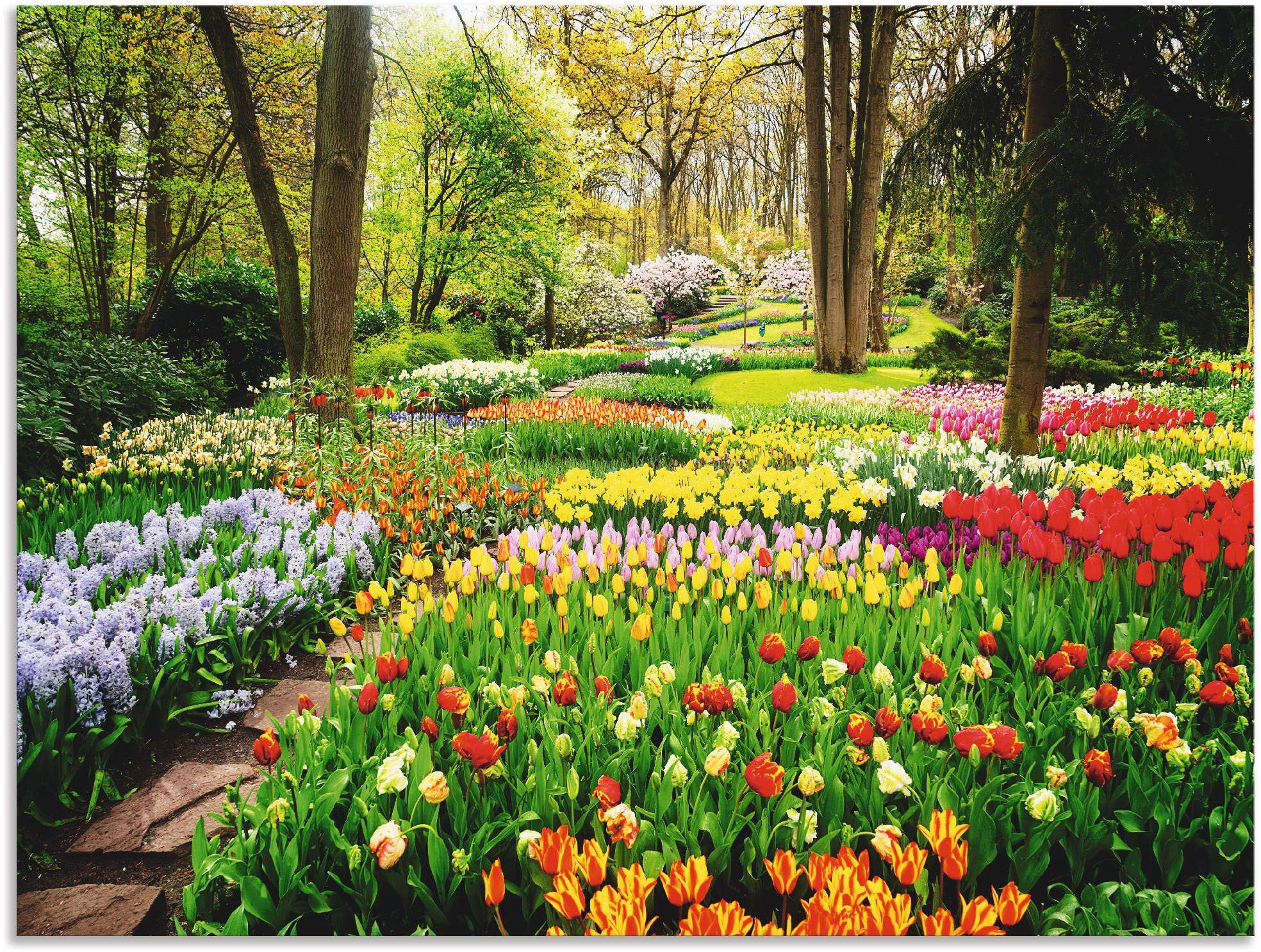 Artland Wandbild »Tulpen Garten Frühling«, Blumenwiese (1 Stück), in vielen Größen & Produktarten - Alubild / Outdoorbild für den Außenbereich, Leinwandbild, Poster, Wandaufkleber / Wandtattoo auch für Badezimmer geeignet-Otto