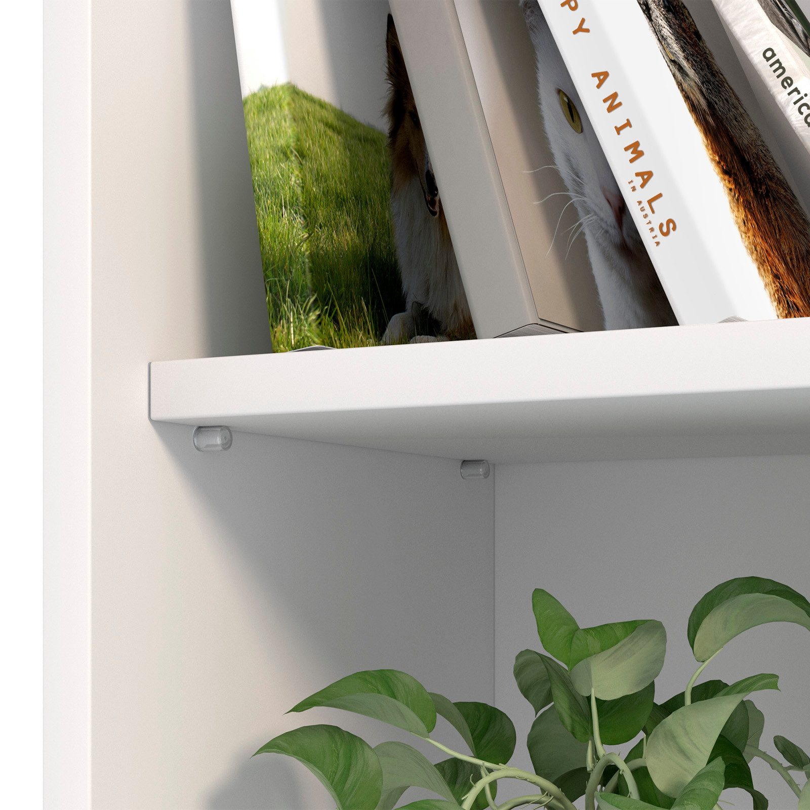 SO-TECH® Möbelbeschlag Fach-Bodenträger Regalstifte Stiftdurchmesser 3 günstig online kaufen