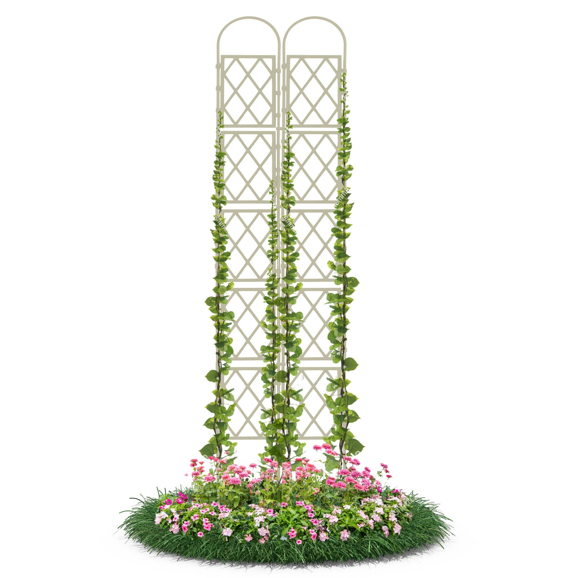 Gartenwelt Riegelsberger Rankhilfe Wandspalier mit Bogen günstig online kaufen