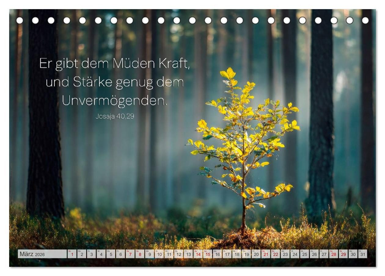 CALVENDO Wandkalender Psalmen und Bibelverse - Himmlische Botschaften (Tischkalender 2026 DI