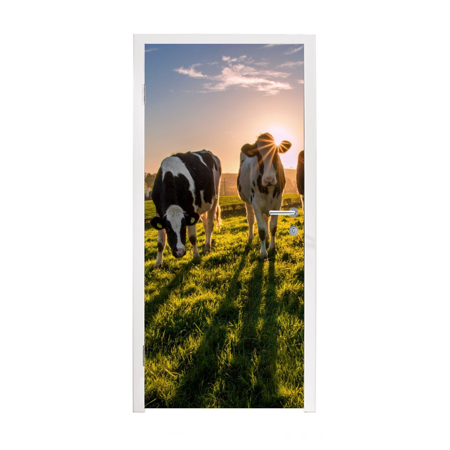 Kuh 75x205 - Türtapete (1 Tür, - cm MuchoWow bedruckt, Türaufkleber, Matt, für St), Fototapete Gras Sonne,
