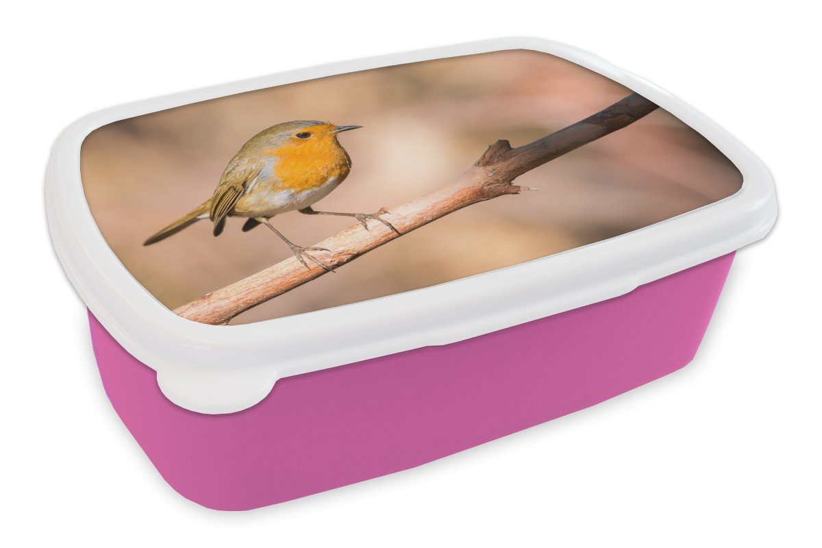 MuchoWow Lunchbox Vogel - Zweig - Rotkehlchen, Kunststoff, (2-tlg), Brotbox für Erwachsene, Brotdose Kinder, Snackbox, Mädchen, Kunststoff rosa