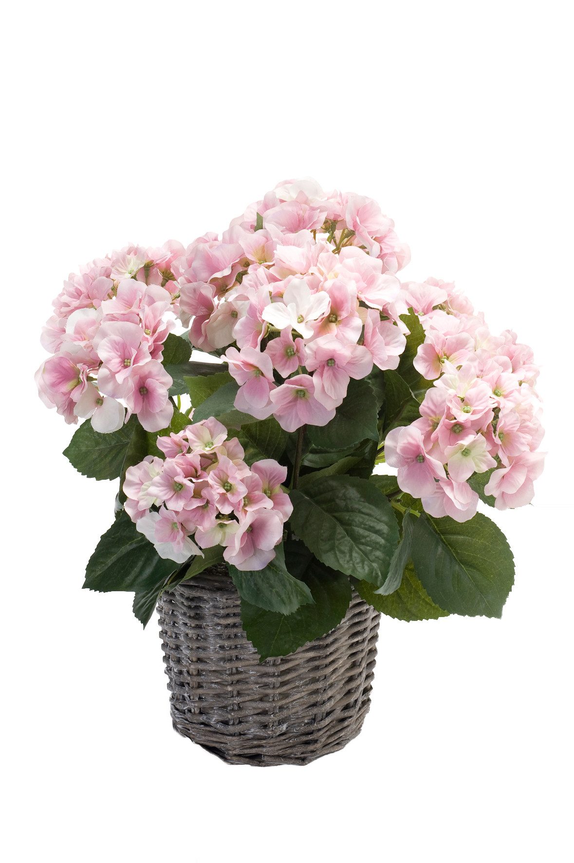 Künstliche Zimmerpflanze Hortensie, Emerald, Höhe 45 cm, Farbe: Rosa, Höhe: 45cm