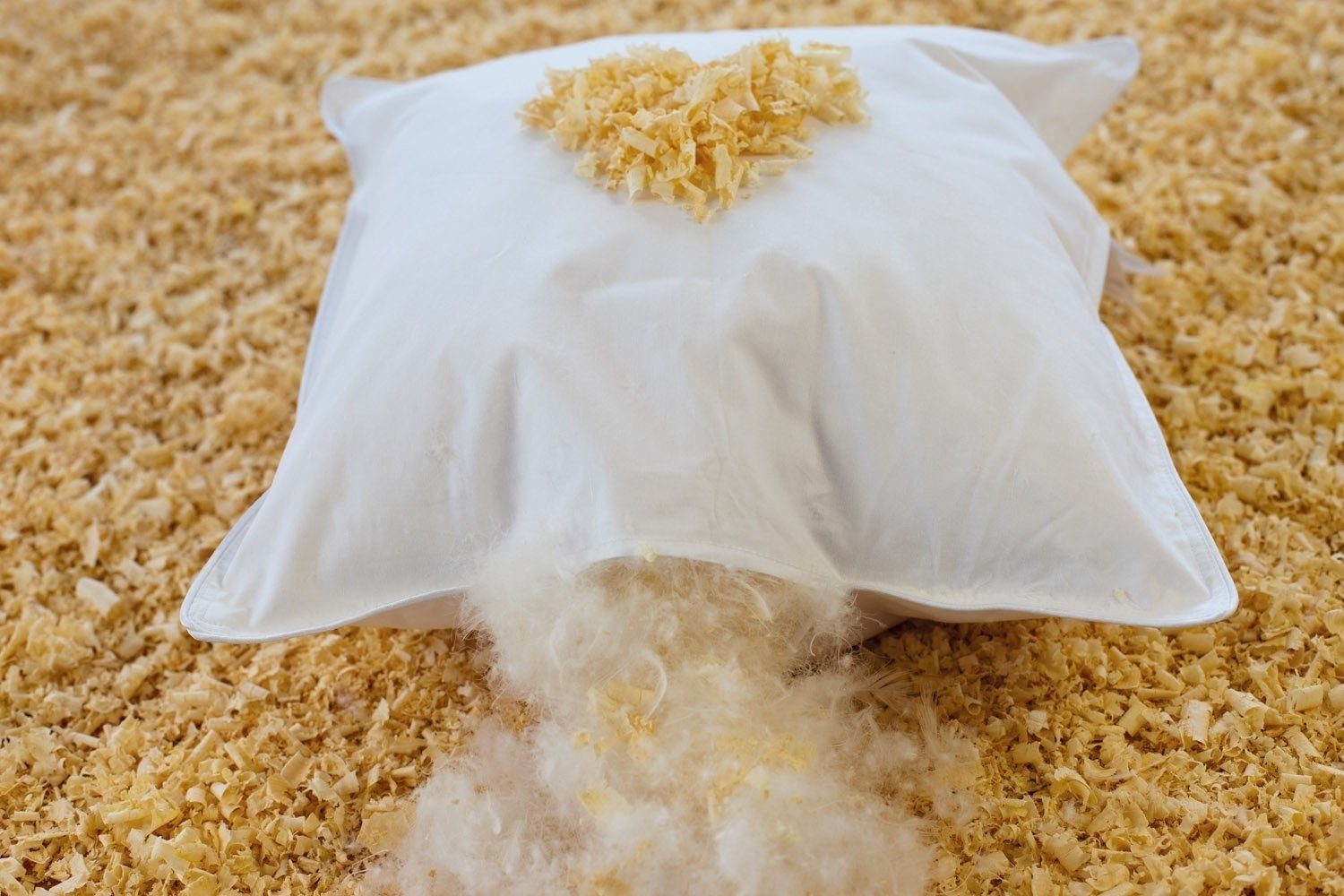 Bielefelder Bettfedern-Manufaktur Verse GmbH Kopfkissen ZIRBE, günstig online kaufen