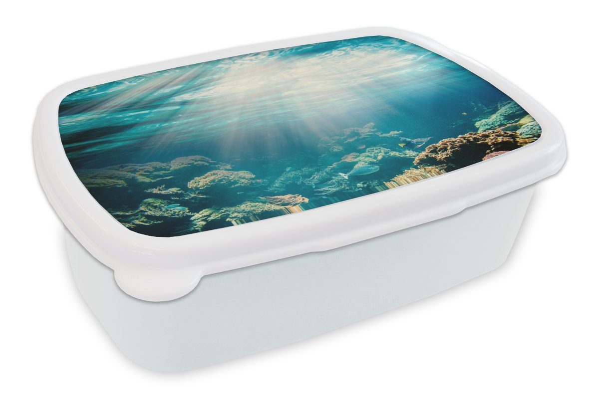 MuchoWow Lunchbox Meer - Koralle - Sonne, Kunststoff, (2-tlg), Brotbox für Kinder und Erwachsene, Brotdose, für Jungs und Mädchen weiß