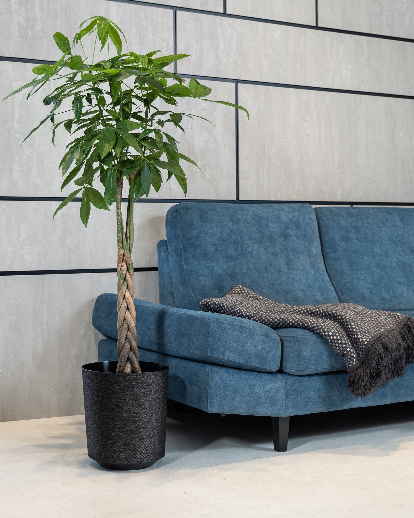 ONDIS24 Übertopf Pflanzkübel Übertopf Blumentopf Gama Textil