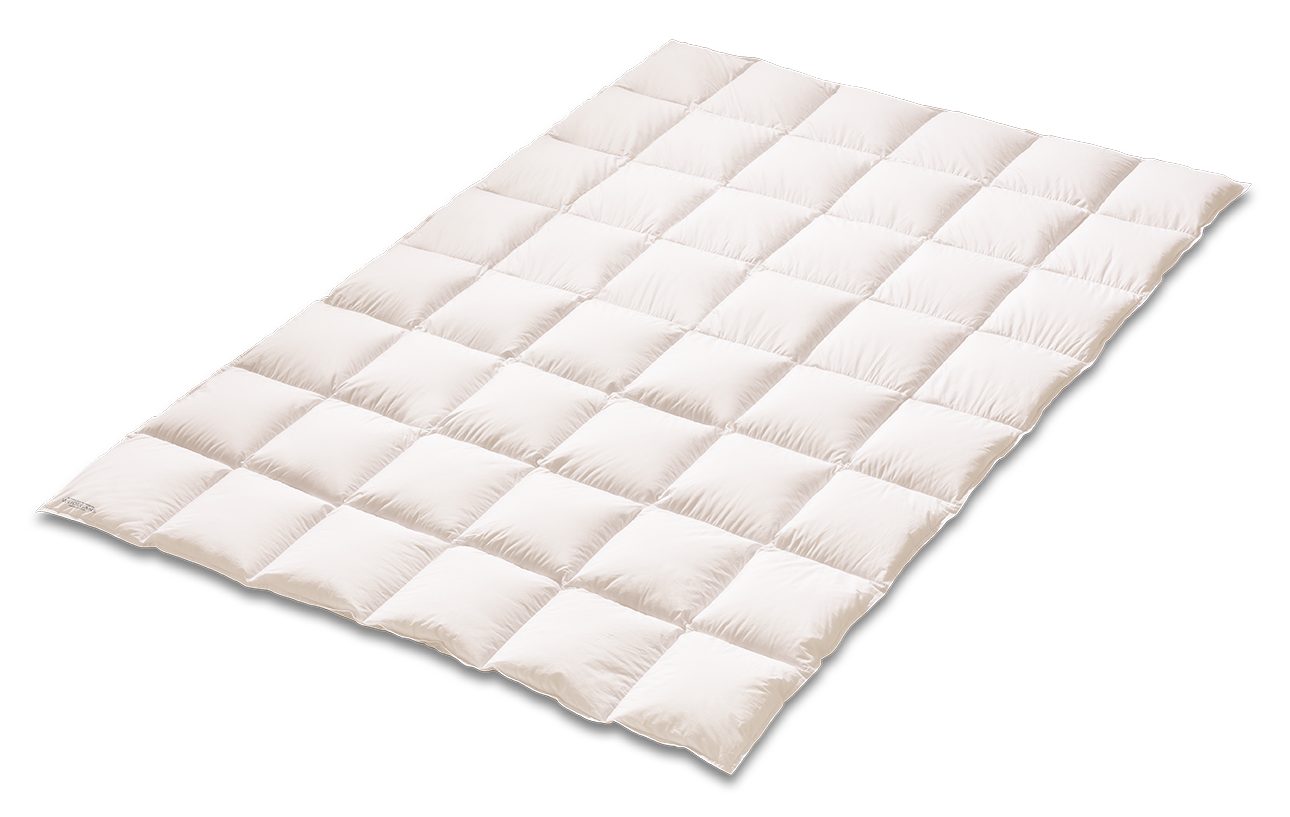 Kauffmann Gänsedaunenbettdecke Daunenbettdecke „Weidegans Limited Edition“ günstig online kaufen