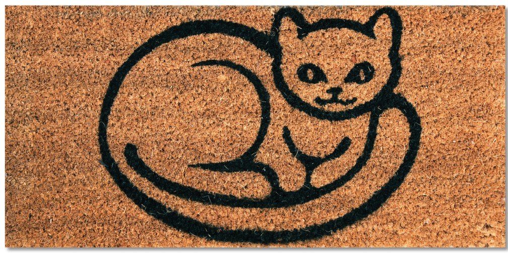 Bestlivings Fußmatte Kokos Fußabtreter, Rechteckig, Schmutzfangmatte Türmat günstig online kaufen