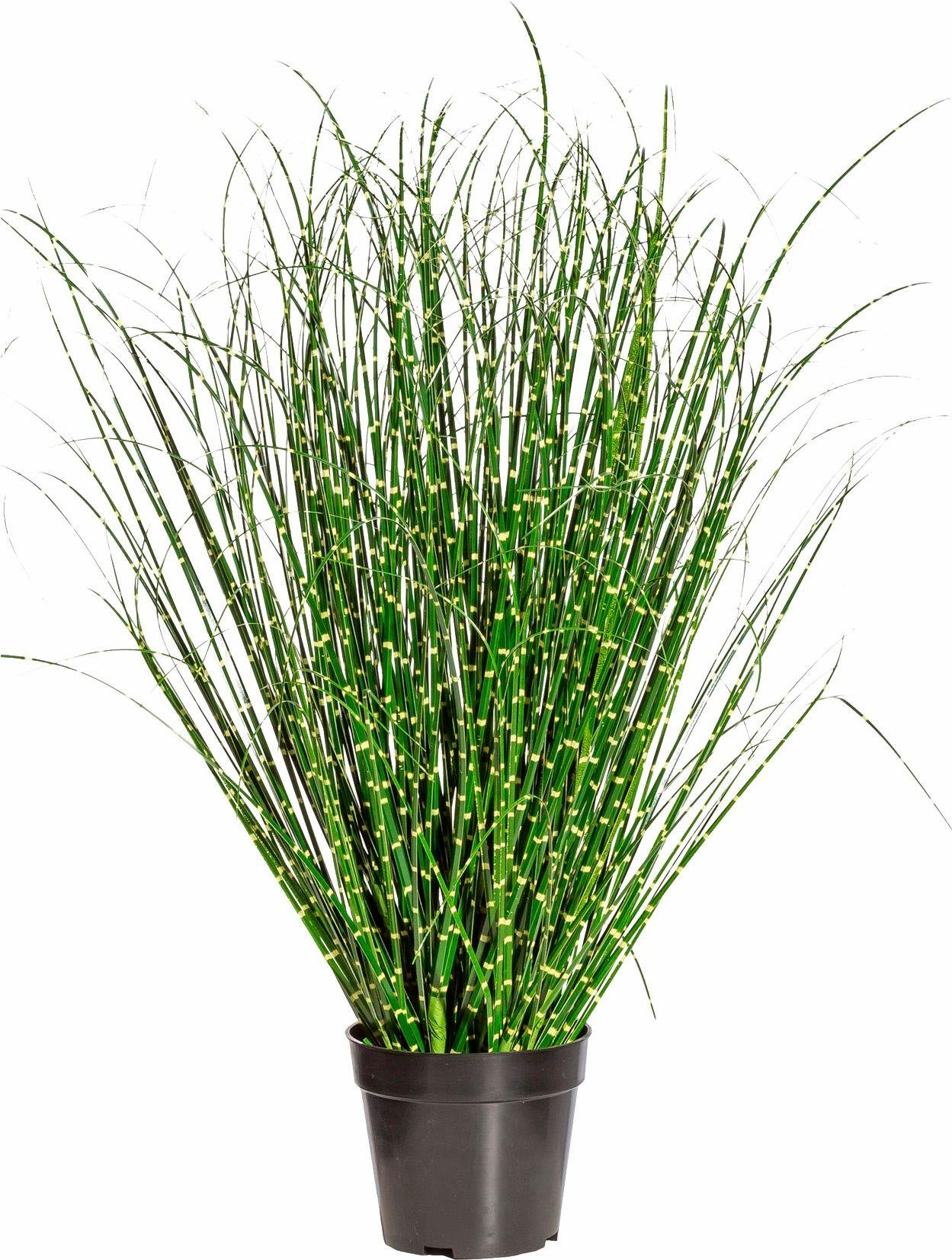 Kunstgras Miscanthus Zebrinus, Creativ green, Höhe 80 cm