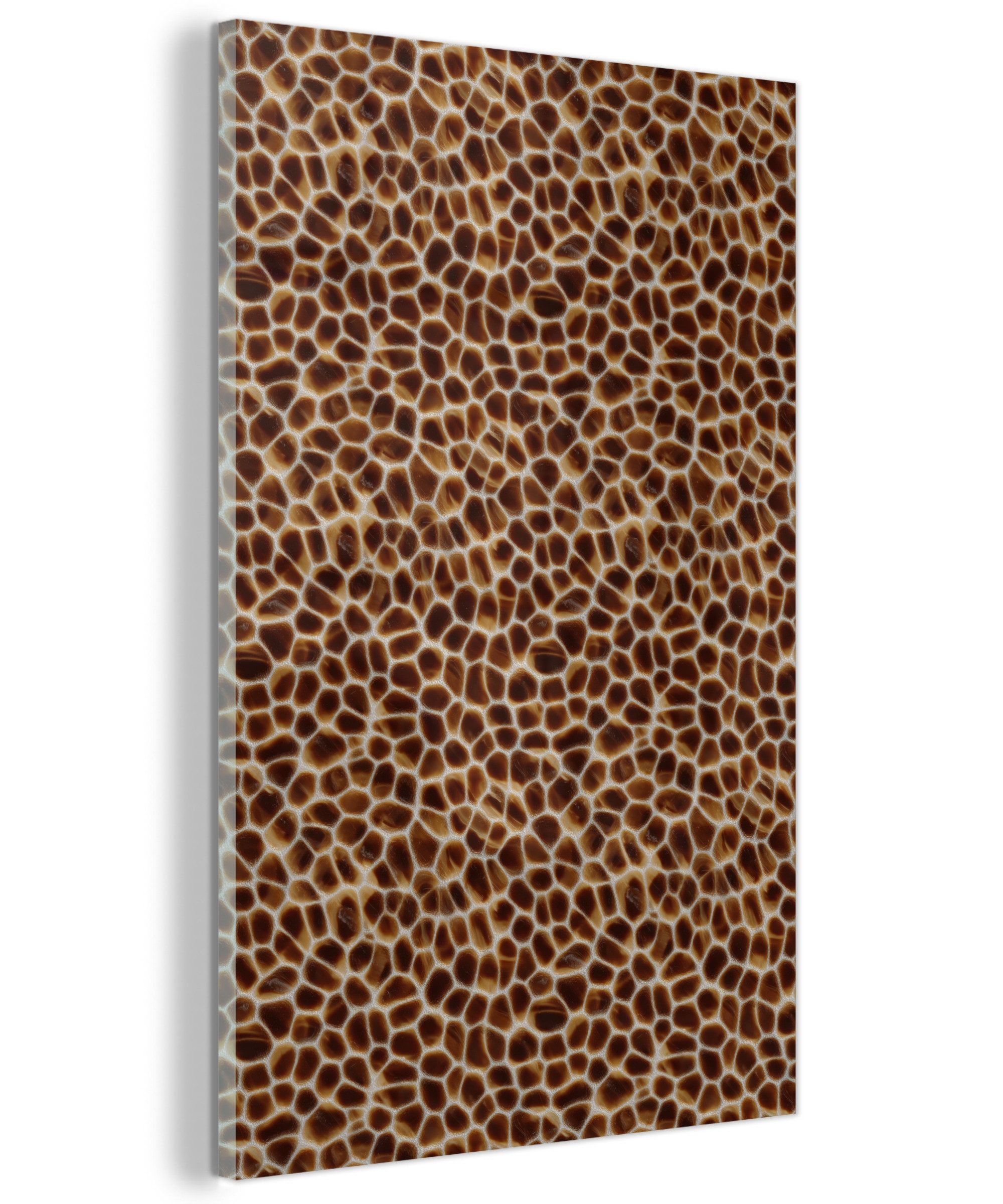 MuchoWow Acrylglasbild Schildkröte – Braun – Muster, Inkl. Aufhängung, Dekoration Wohnzimmer auf Glas, Wand Bilder Deko XXL, 80x120 cm