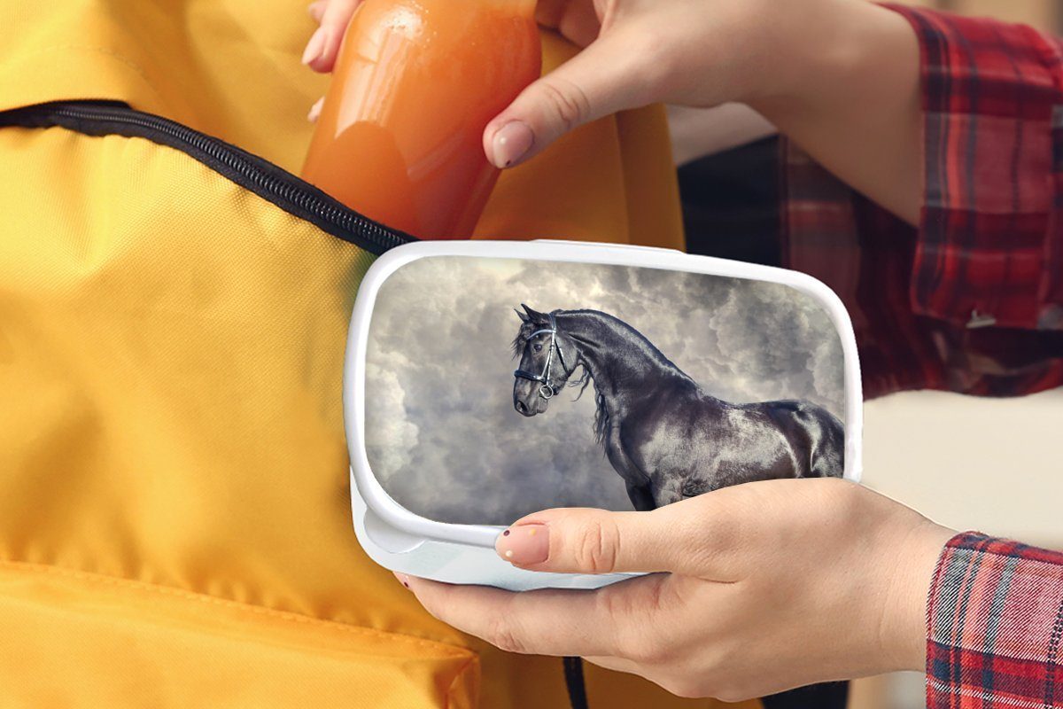 Porträt, Lunchbox Friese Jungs weiß Brotdose, für Brotbox - und MuchoWow für Kunststoff, - Pferde (2-tlg), Erwachsene, und Mädchen Kinder
