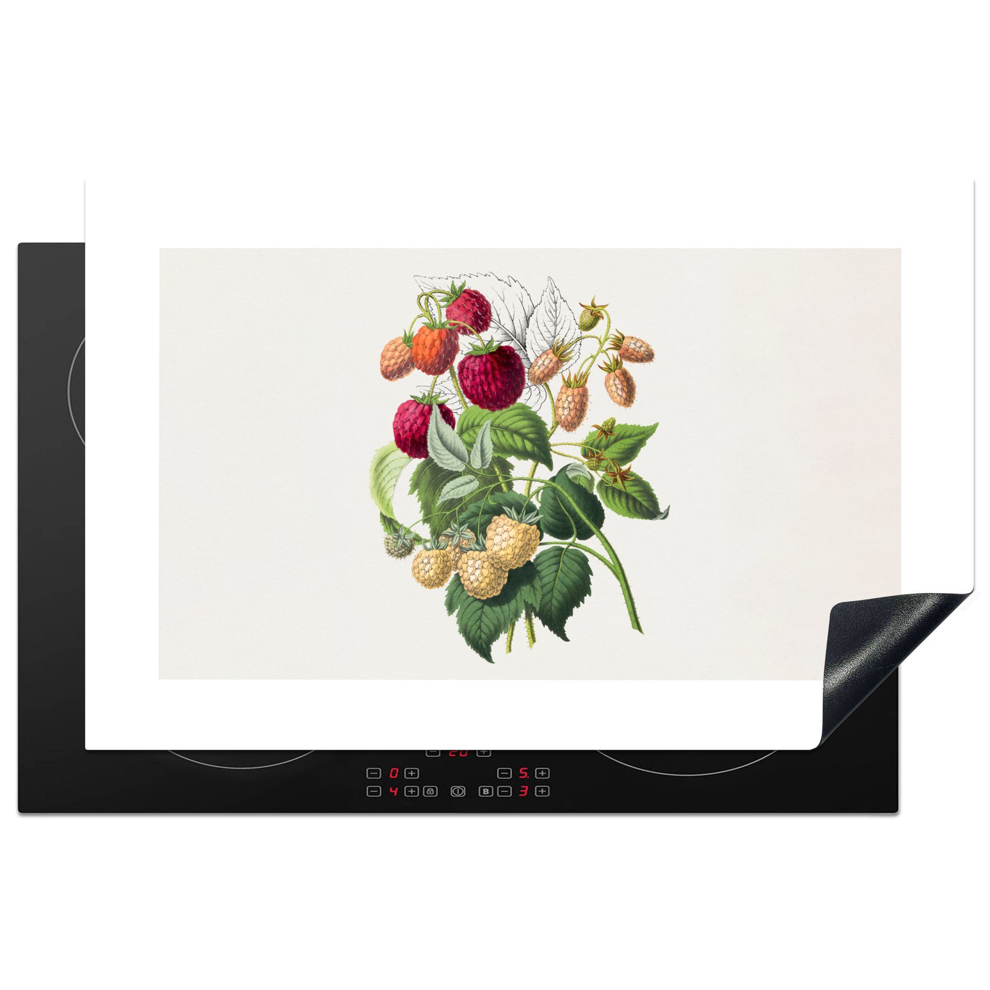 MuchoWow Herdblende-/Abdeckplatte Erdbeere - Obst für Vinyl, Ceranfeldabdeckung tlg), - küche, 81x52 (1 Schutz Vintage, Induktionskochfeld die cm