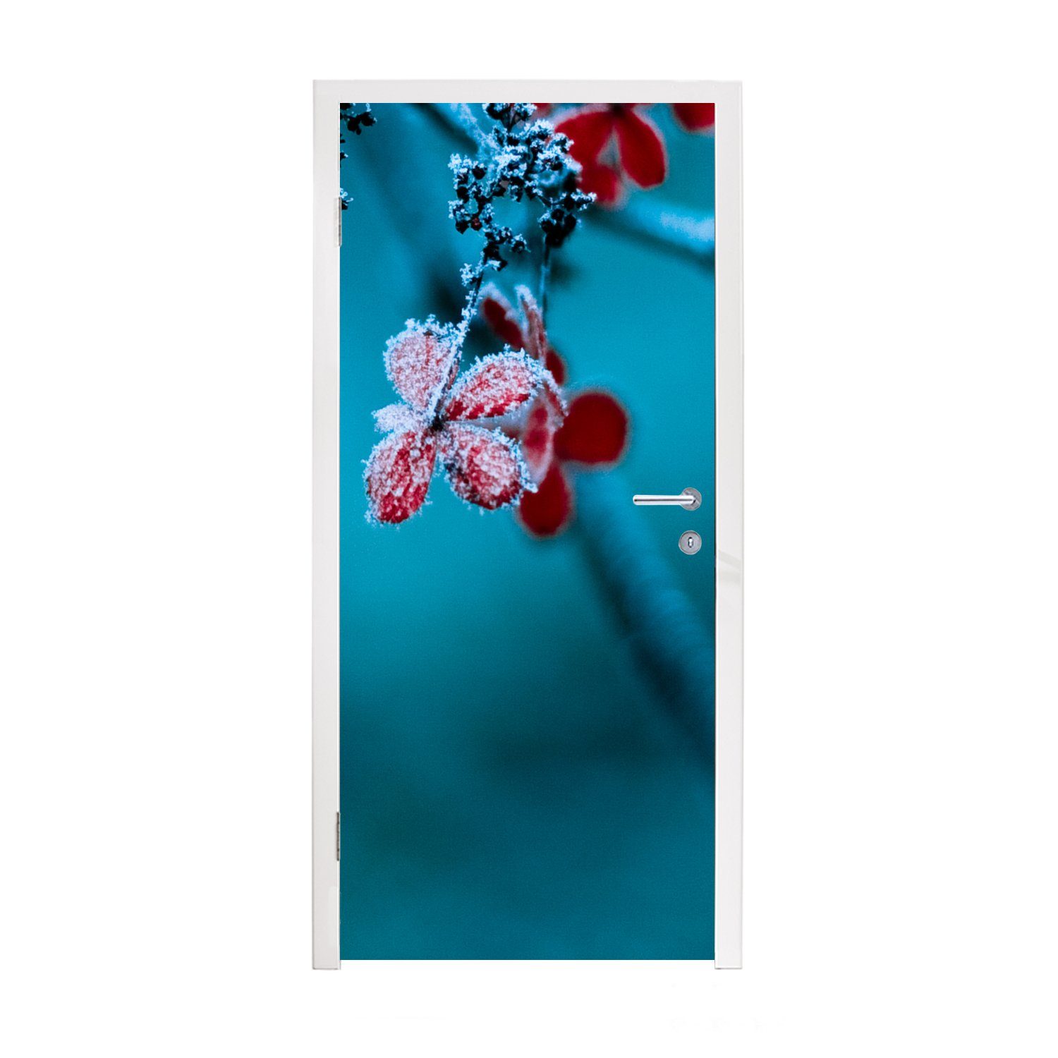 MuchoWow Türtapete Rot - Blume - Schneeregen, Matt, bedruckt, (1 St), Fototapete für Tür, Türaufkleber, 75x205 cm