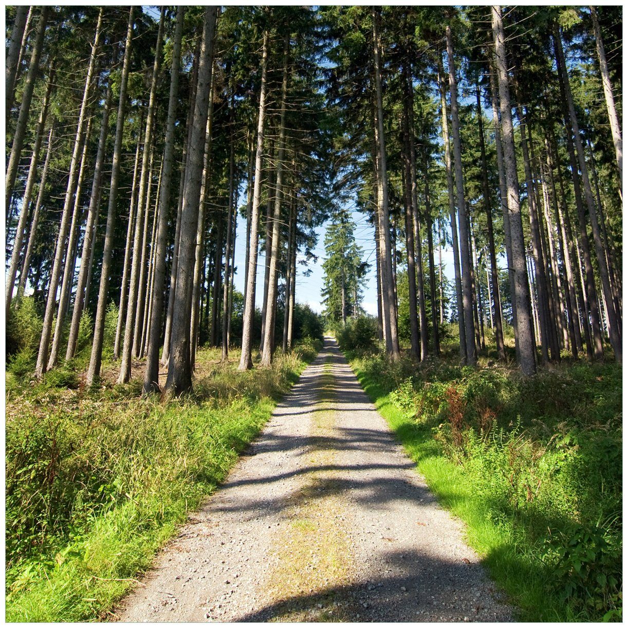 Wallario Tischplatte Stiller Waldweg (1 St), für Ikea Lack Tisch geeignet