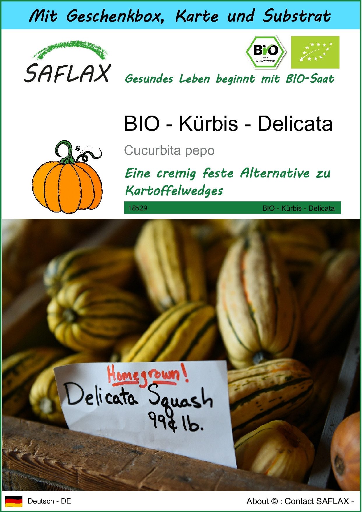 Gemüsesamen SAFLAX - Geschenkset - BIO - Kürbis - Delicata
