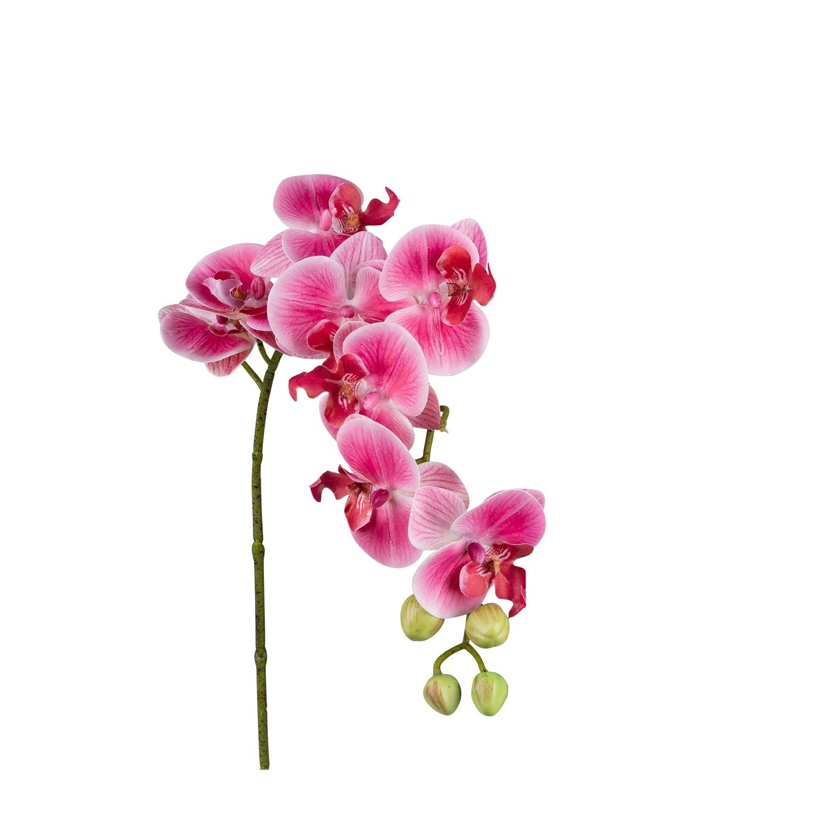 formano, cm, Orchideenzweig Höhe cm Kunstblume 80 Kunstblume 80 Lila,
