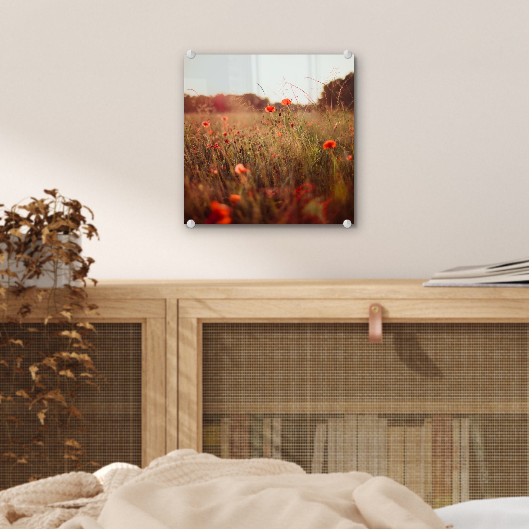 (1 - Wanddekoration Glasbilder Glas Foto St), Acrylglasbild Sonnenuntergang Wandbild - Glas MuchoWow - Blumen auf - auf Bilder - Rot,