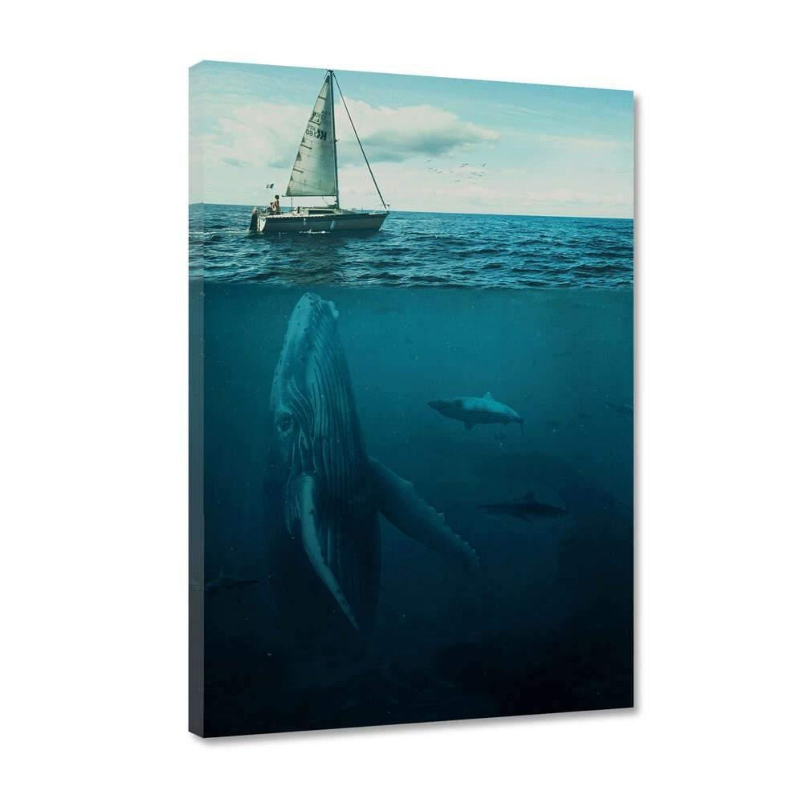Hustling Sharks Leinwandbild Wal-Bild als XXL Leinwandbild "Old Tom" - exklusives Tierbild, in 7 unterschiedlichen Größen verfügbar