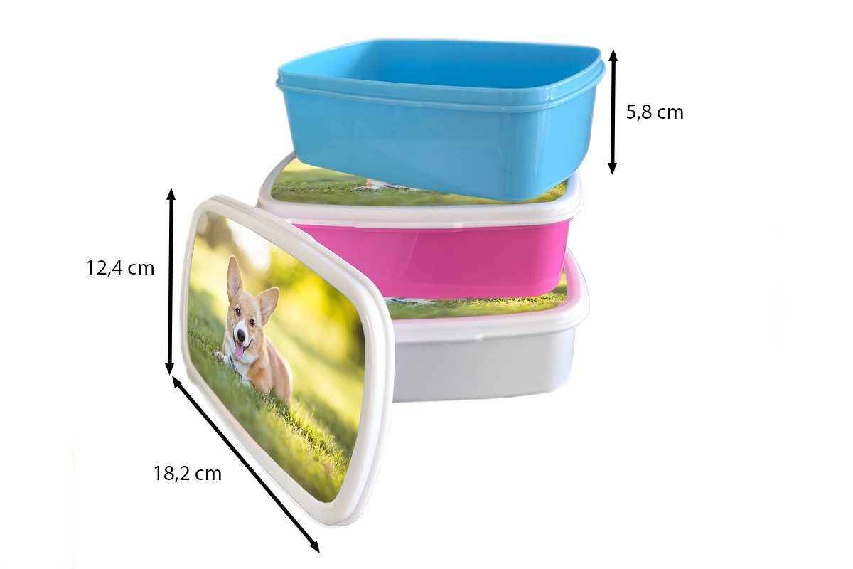 Lunchbox Mädchen Brotdose, für und Kinder Welpe, weiß (2-tlg), Brotbox MuchoWow Welsh Kunststoff, für Erwachsene, Jungs und Corgi