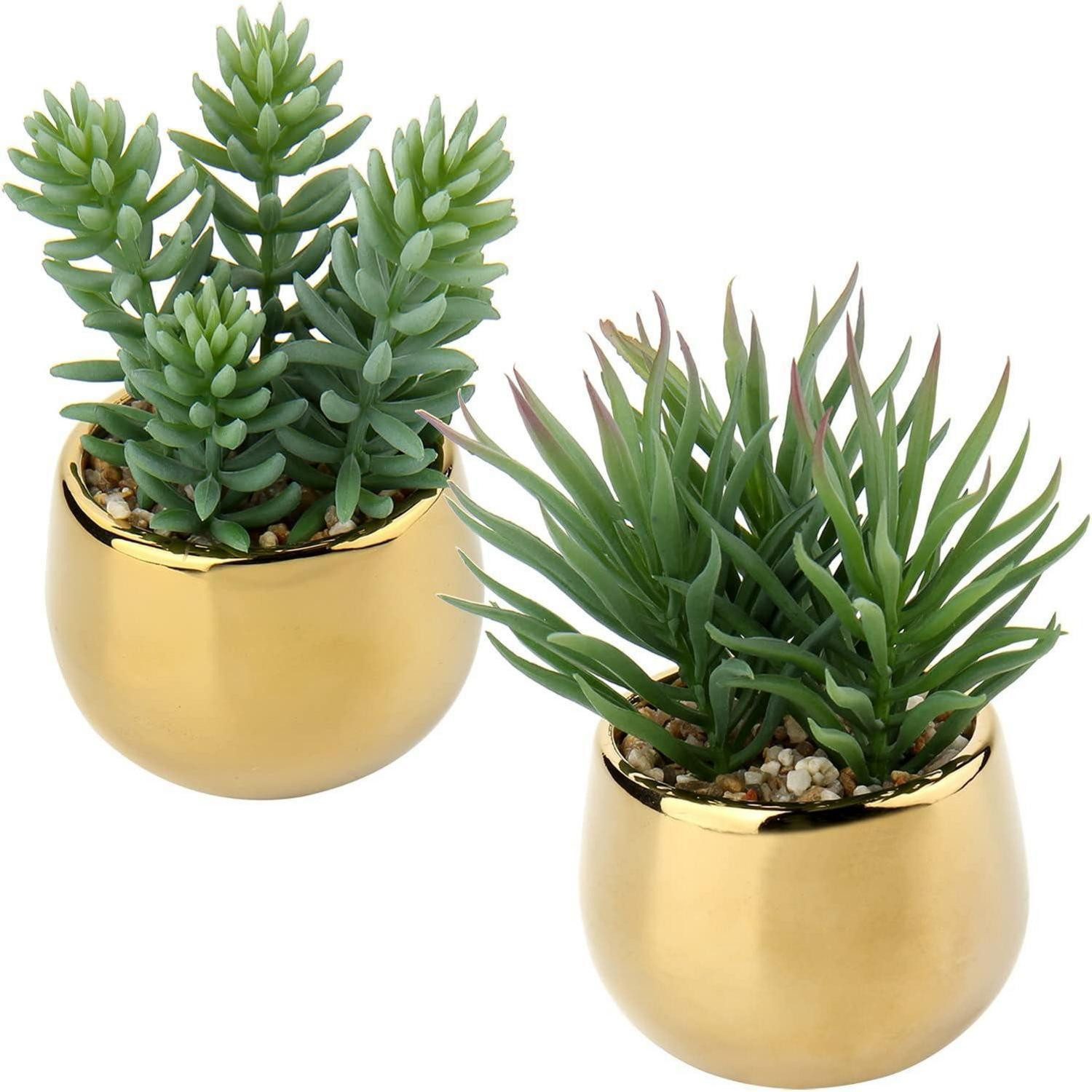 Künstliche Zimmerpflanze Kunstpflanze Sukkulenten künstlich Keramiktopf 2PCS Deko Gold Type-#3, LuxusKollektion, Höhe 12.4 cm