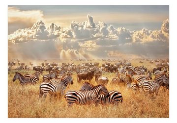 KUNSTLOFT Vliestapete Zebra Land 0.98x0.7 m, matt, lichtbeständige Design Tapete