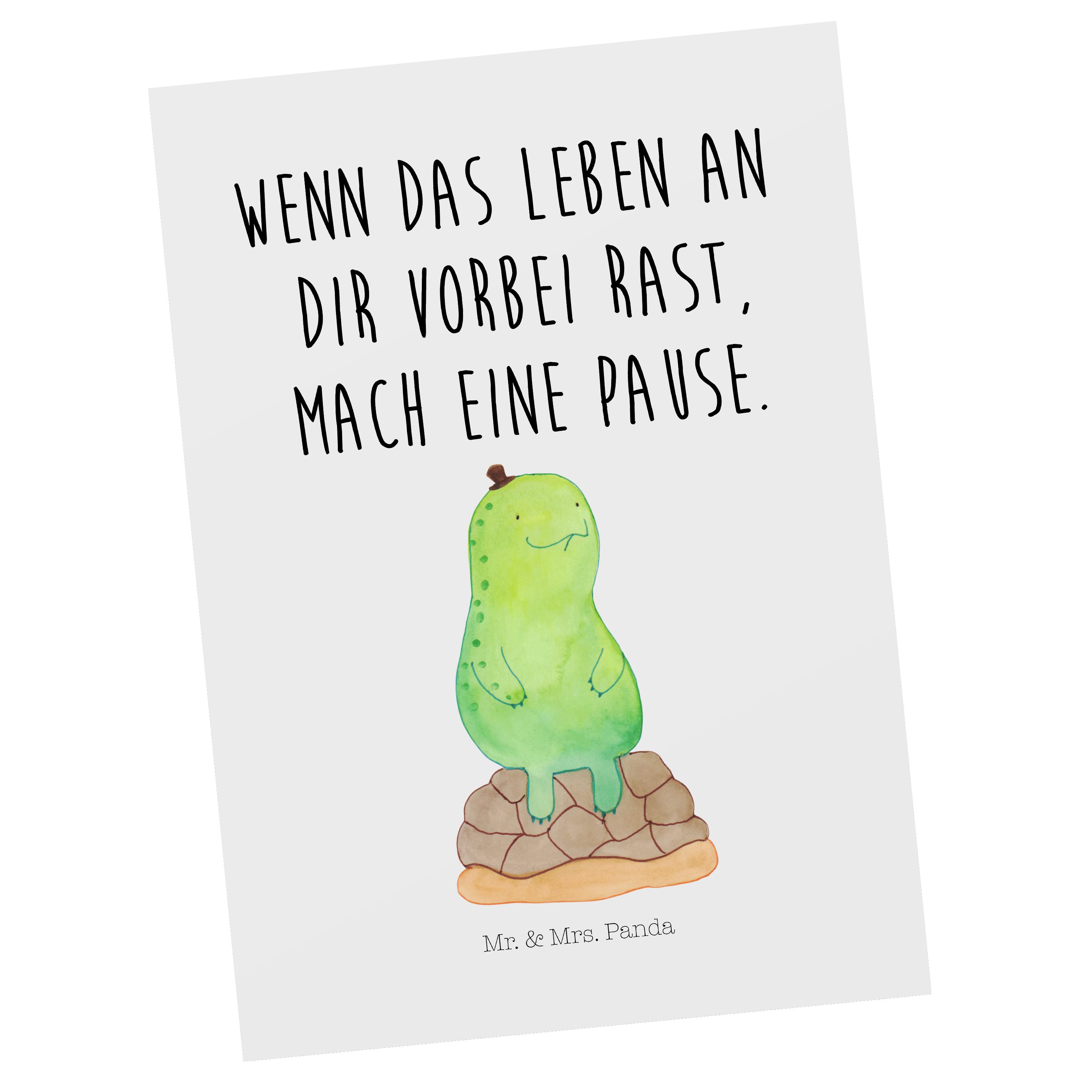Mr. & Mrs. Panda Postkarte »Schildkröte pausiert Weiß Geschenk