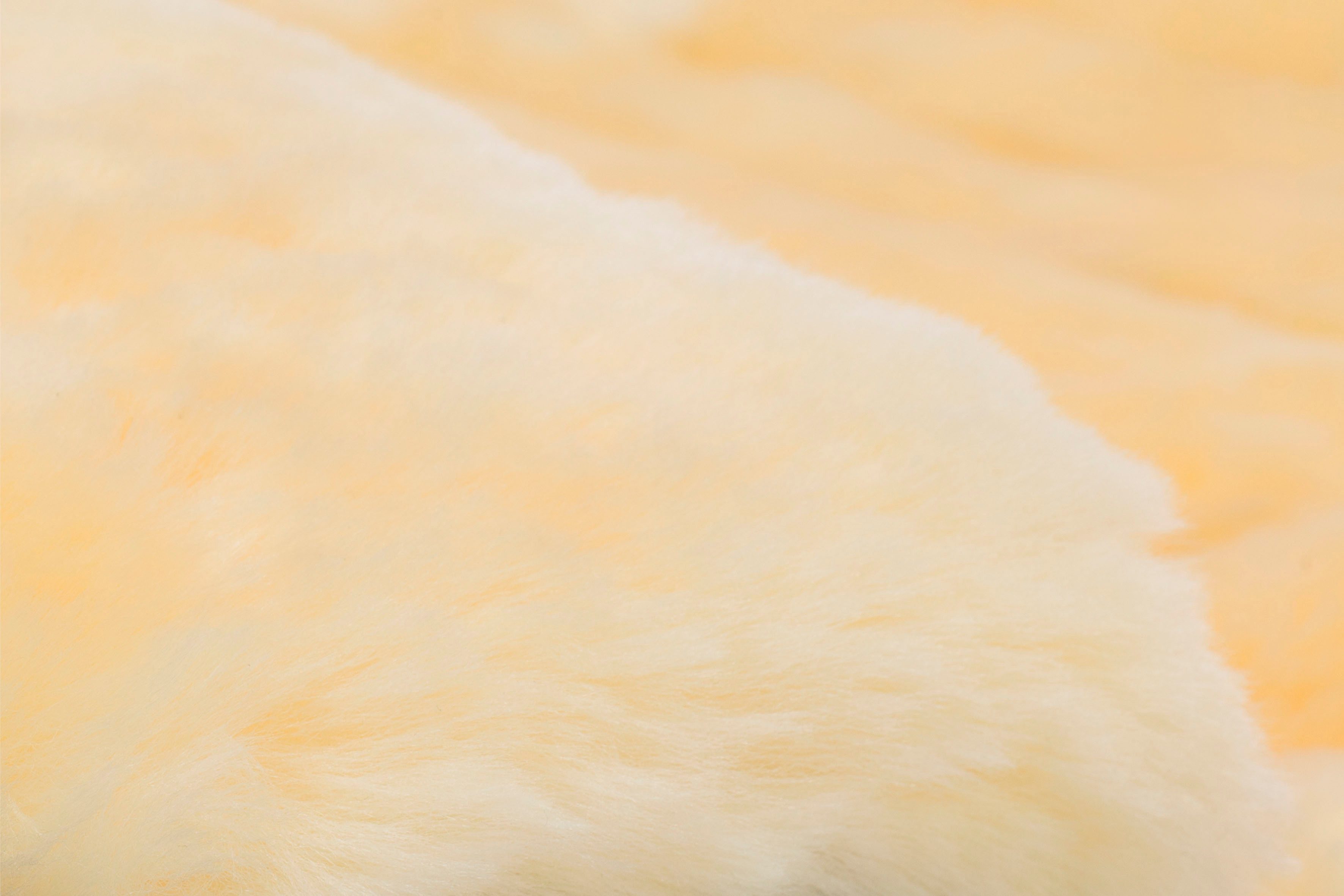 Fillikid Fußsack Bernina Winterfußsack