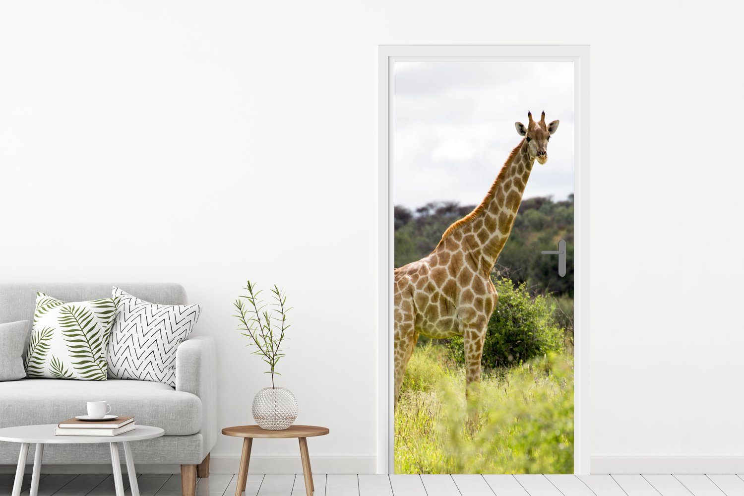 Tür, Tier, cm Türtapete bedruckt, 75x205 Fototapete für MuchoWow Giraffe Türaufkleber, - - St), (1 Pflanzen Matt,