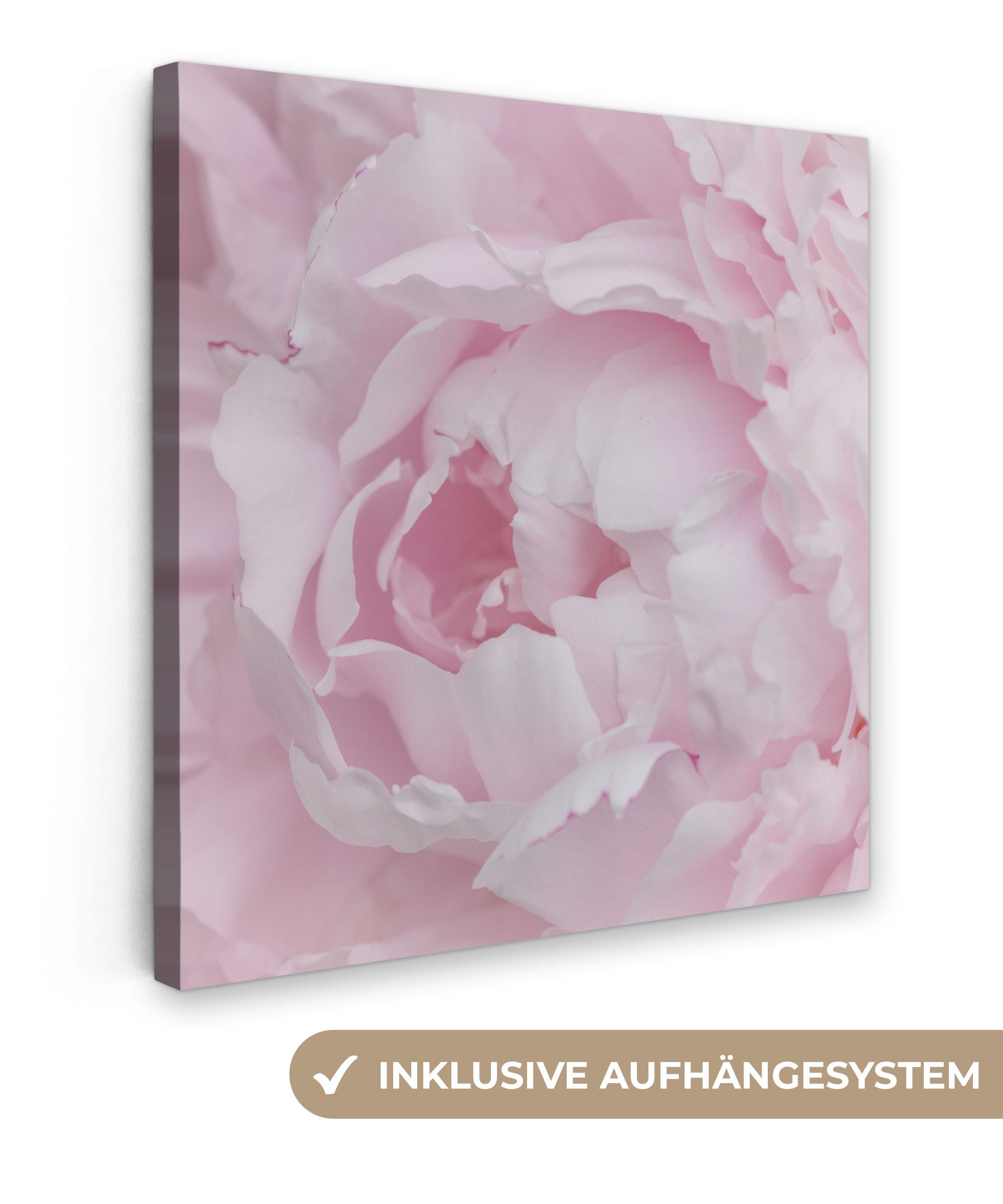 OneMillionCanvasses® Leinwandbild Nahaufnahme und Draufsicht einer rosa Pfingstrose, Fotodruck (1 St), Wandbild, Deko Schlafzimmer Wohnzimmer Flur 20x20 cm