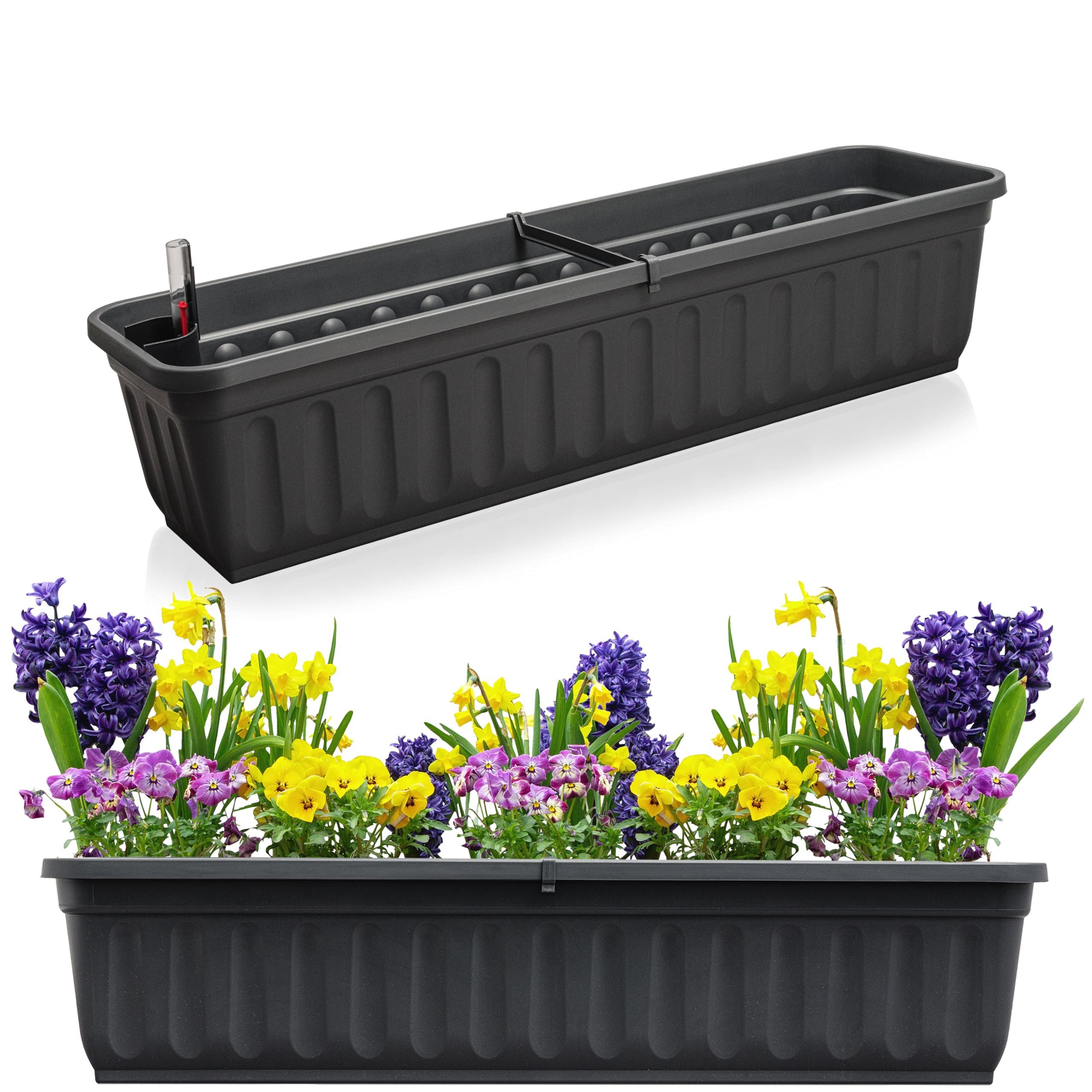 Hausfelder Blumenkasten Balkonkasten mit Wasserstandsanzeiger, Pflanzkasten günstig online kaufen