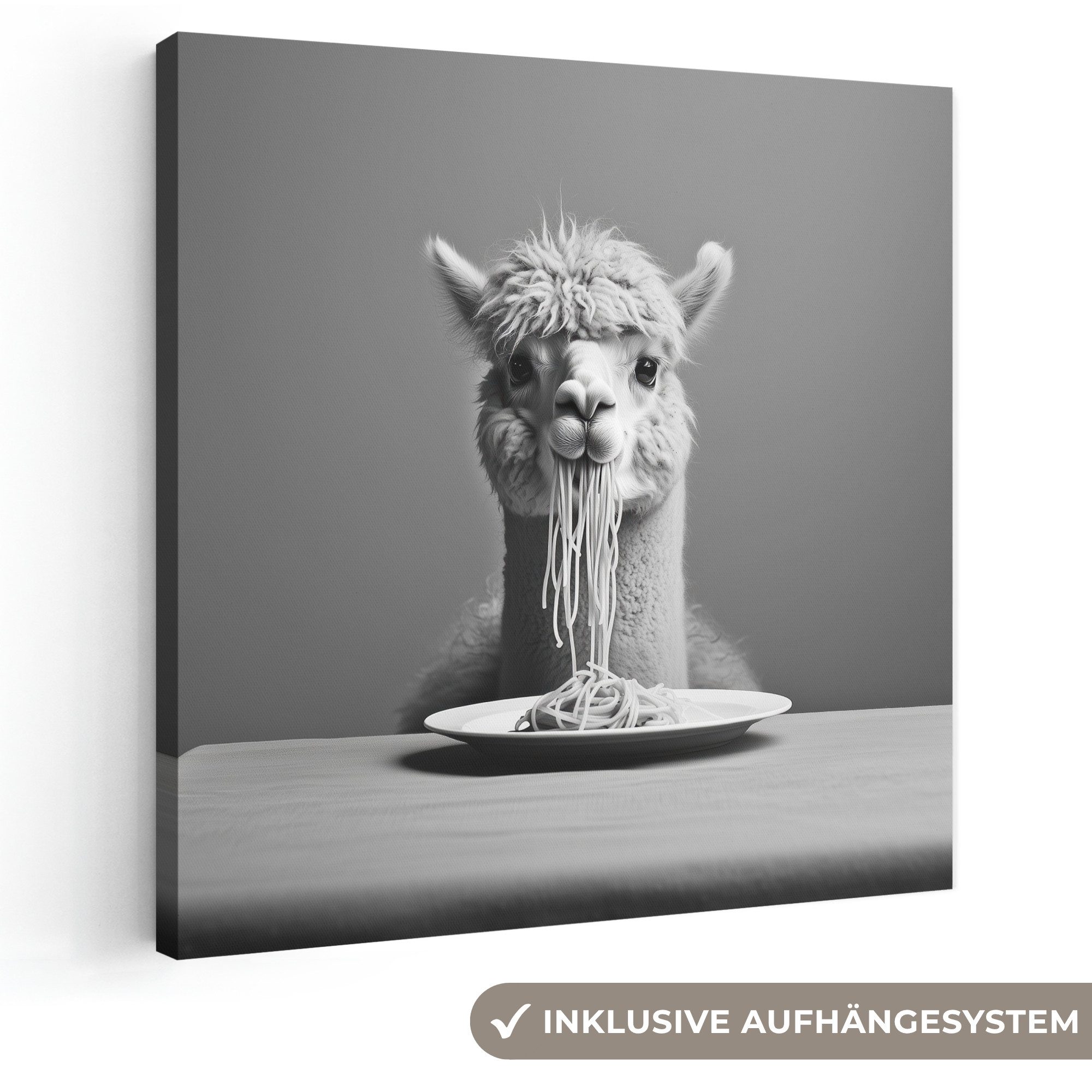 OneMillionCanvasses® Leinwandbild Alpaka - Nudeln - Schwarz - Weiß - Lustig - Tiere, Fotodruck (1 St), Wandbild, Deko Schlafzimmer Wohnzimmer Flur 20x20 cm