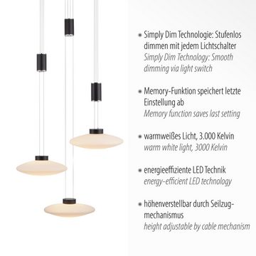 Paul Neuhaus Pendelleuchte LAUTADA, LED fest integriert, Warmweiß, LED, dimmbar, Simply Dim, Memory, nach Trennung vom Netz