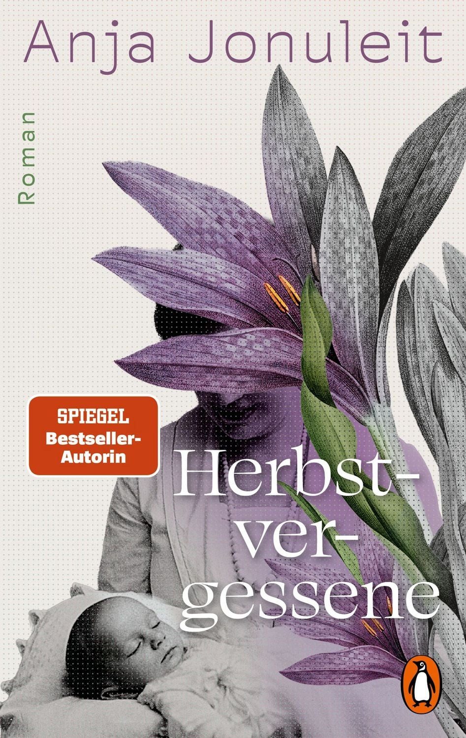 Herbstvergessene / Anja Jonuleit