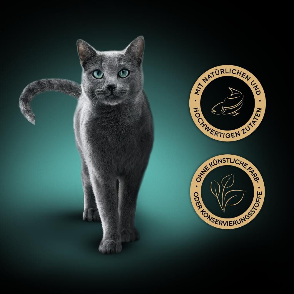 Sheba SHEBA® Schale Filets Nachhaltiger Weißfisch 16 x 60g, Nassfutter für: Katze
