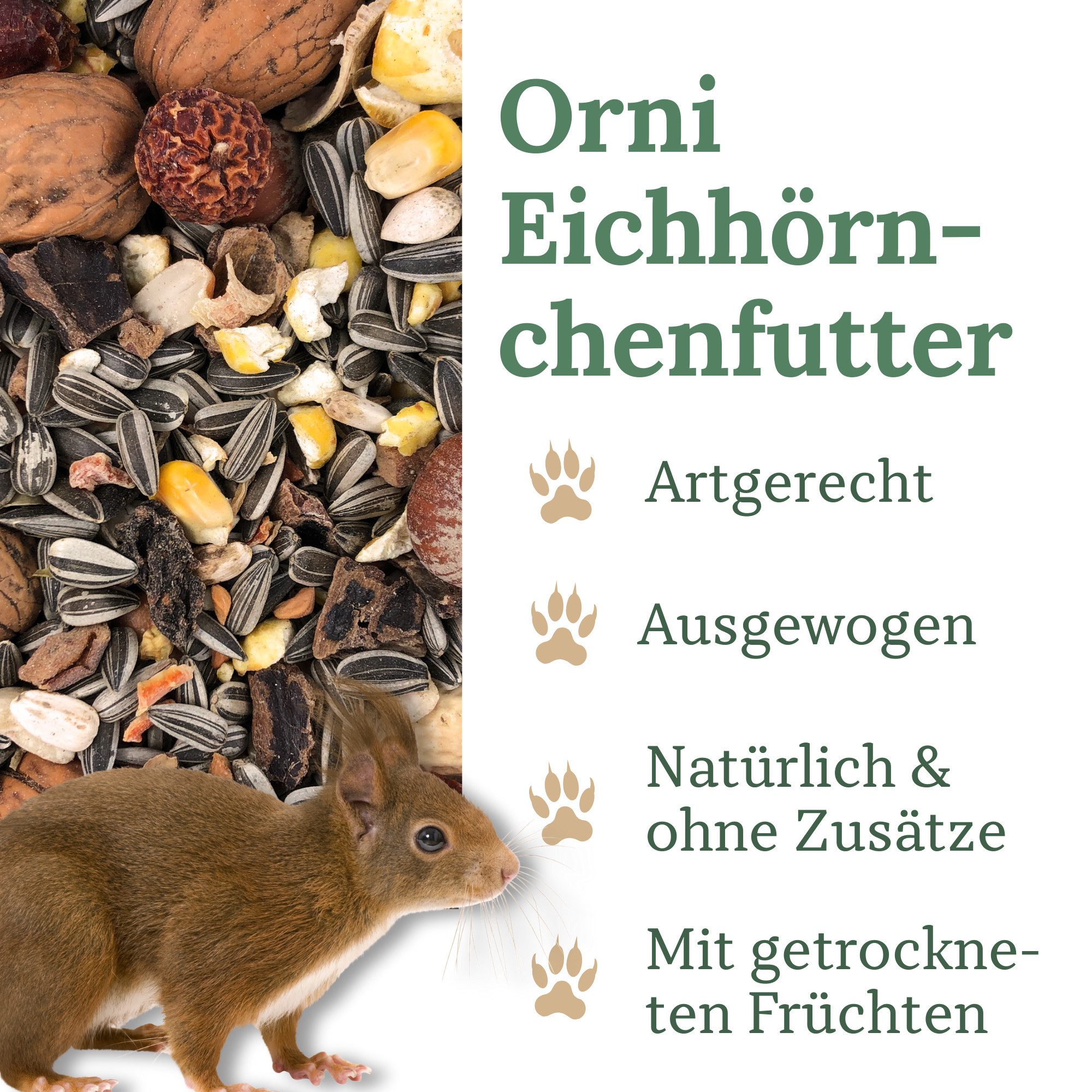 Orni Eichhörnchen Futter 1kg - Ganzjahresfutter Saaten Mischung mit Schale, Hauptfutter für: Nutz-/ Wildtier