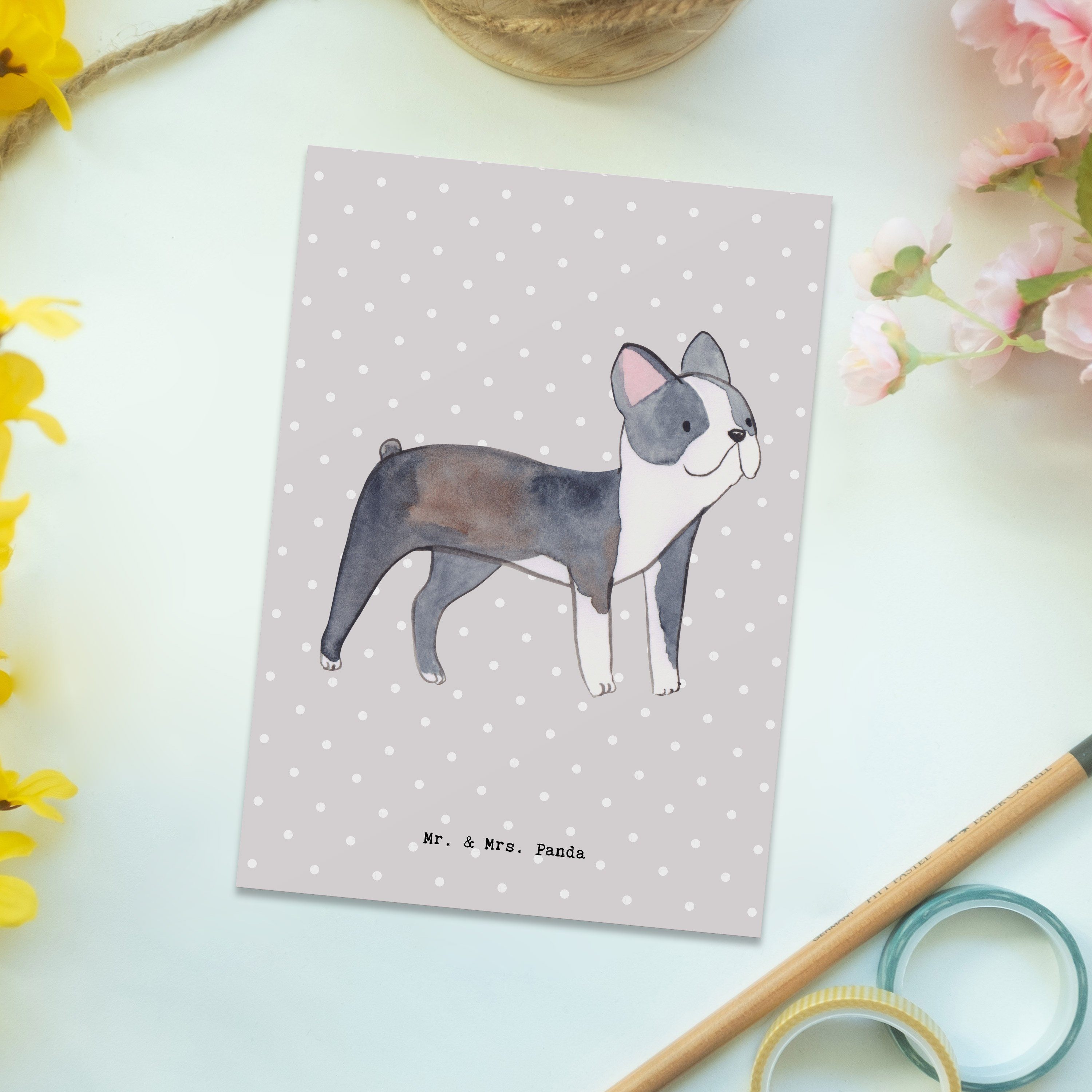 Mr. & Mrs. Panda Karte, Grußkar Grau - Terrier Postkarte Boston Lebensretter Geschenk, Pastell 
