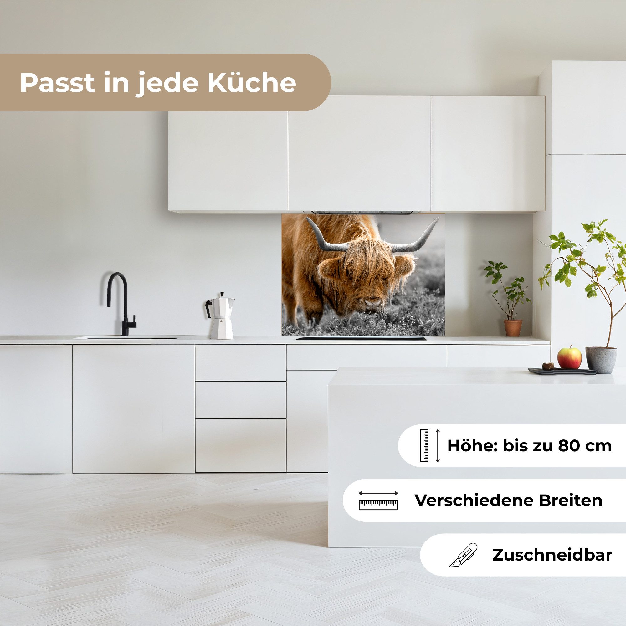 KitchenYeah Küchenrückwand selbstklebend Schottischer Highlander - Tiere - Braun - Kuh - Schwarz, (1-tlg), Spritzschutz, Küche, Rückwand, Küchenwand, Küchenfront, 80x60 cm