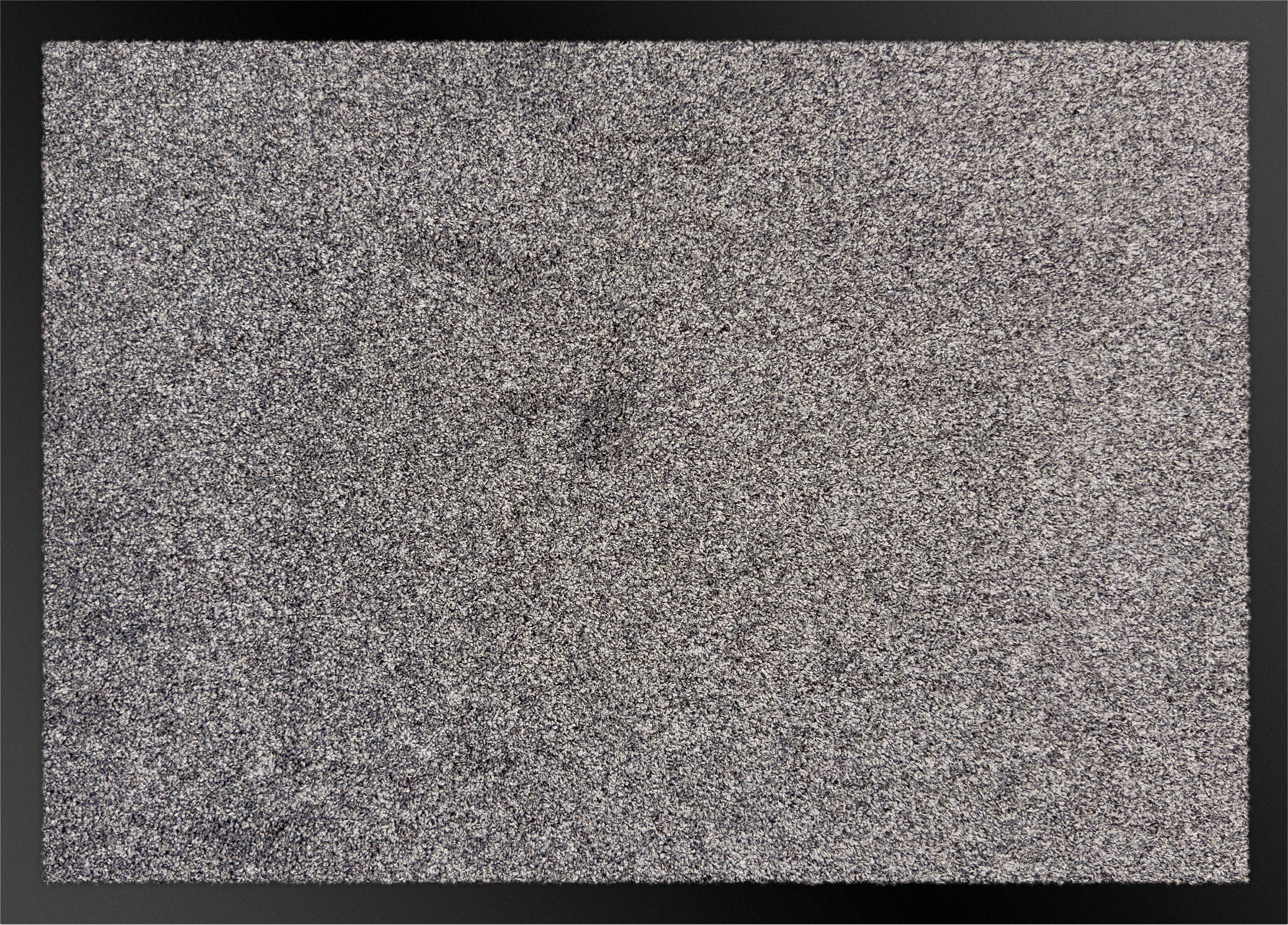 OTTO home Fußmatte Vianne, Schmutzfangmatte Indoor, für Hausflur und Eingan günstig online kaufen