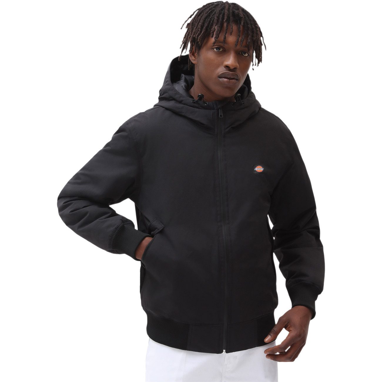 Dickies Winterjacke NEW SARPY JACKET NEW günstig online kaufen