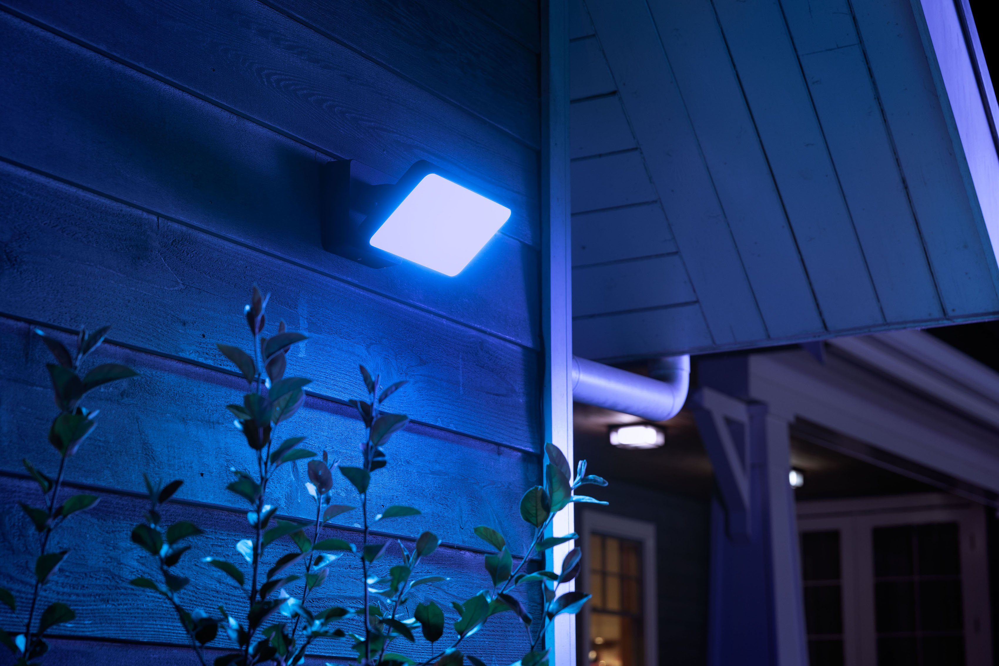 Außen-Wandleuchte LED mehrere Philips fest integriert, Tageslichtweiß, Leuchtdauer Helligkeitsstufen, Neutralweiß, Warmweiß Smart Kaltweiß, Discover, Dimmfunktion, LED Extra-Warmweiß, Home, Hue einstellbar,